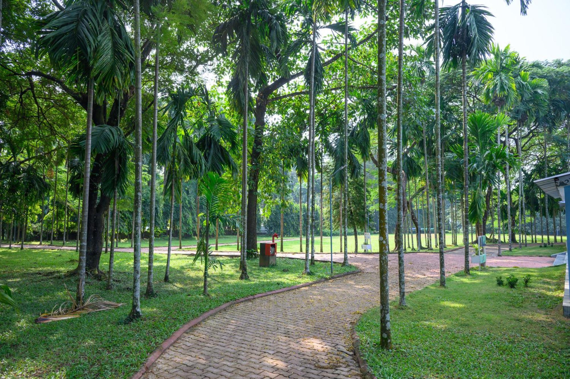 Sinclairs Retreat Dooars, Chalsa Hotel Exterior photo